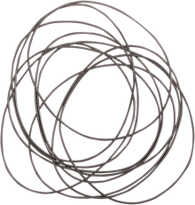 COMETIC Primary Case O-Ring C9441