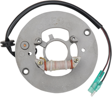 RICK'S MOTORSPORT ELECTRIC STATOR YAMAHA 21-906