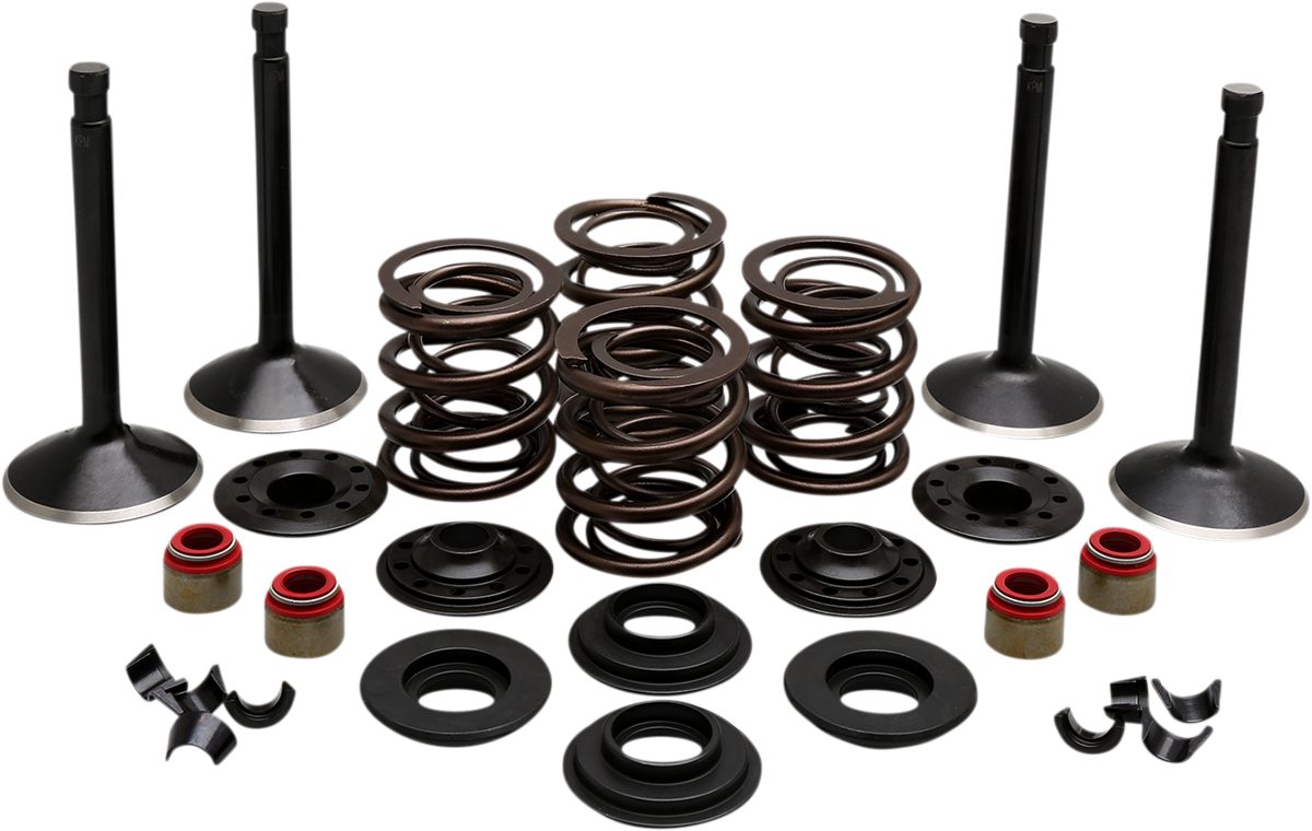 KIBBLEWHITE Engine Valve Kit - 0.415" Lift - Panhead '48-'65 20-22150