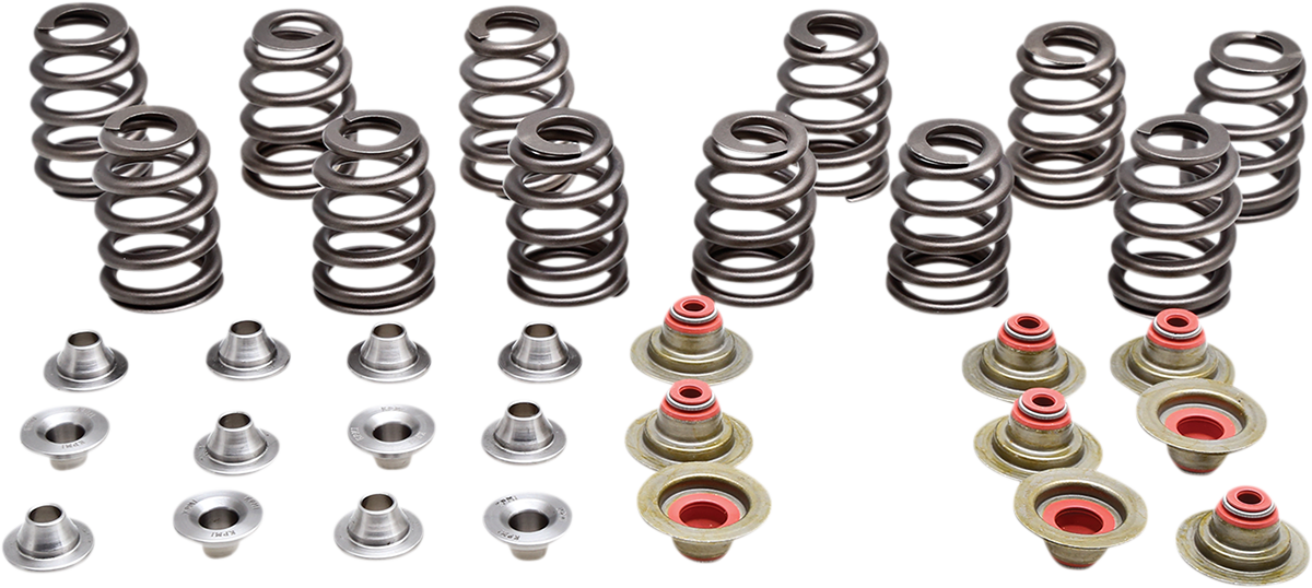 KIBBLEWHITE Beehive Spring Kit - 0.350" Lift - Can Am | Rotax Ace 900 CC Triple Engines 91-91300