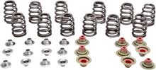KIBBLEWHITE Beehive Spring Kit - 0.350" Lift - Can Am | Rotax Ace 900 CC Triple Engines 91-91300