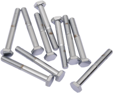 DRAG SPECIALTIES Bolts - Hex Head/Replacement - Fine Thread - 1/4"-28 x 2" - 10 Pack MPB144