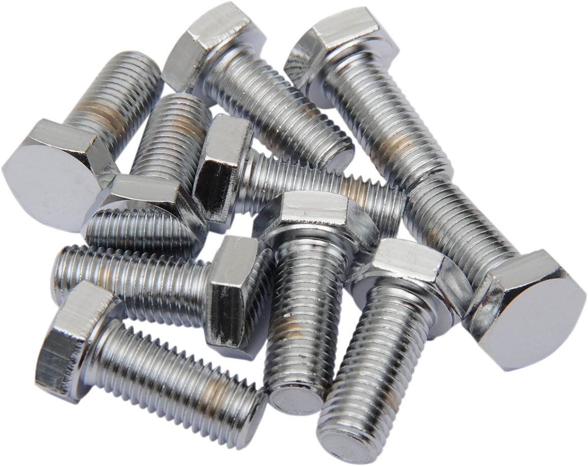 DRAG SPECIALTIES Bolts - Hex Head/Replacement - Fine Thread - 5/16"-24 x 5/8" - 10 Pack MPB146