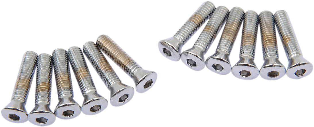 DRAG SPECIALTIES Bolt Kit - Cam Cover - Knurled - Chrome - '36-'69 Harley-Davidson MK154