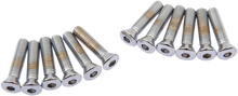 DRAG SPECIALTIES Bolt Kit - Cam Cover - Knurled - Chrome - '36-'69 Harley-Davidson MK154