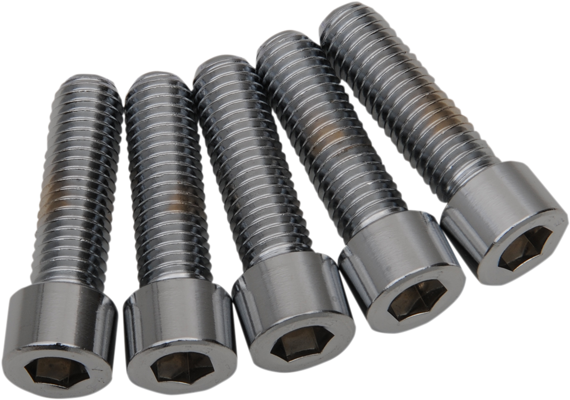 DRAG SPECIALTIES Bolts - Socket-Head/Replacement - Smooth/Coarse Thread - 1/2"-13 x 2" - 5 Pack MPB696S