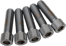 DRAG SPECIALTIES Bolts - Socket-Head/Replacement - Smooth/Coarse Thread - 1/2"-13 x 2" - 5 Pack MPB696S