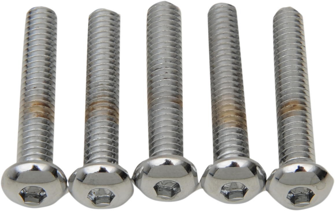DRAG SPECIALTIES Bolts - Button Head/Replacement - 1/4"-20 x 2" - 5 Pack MPB824