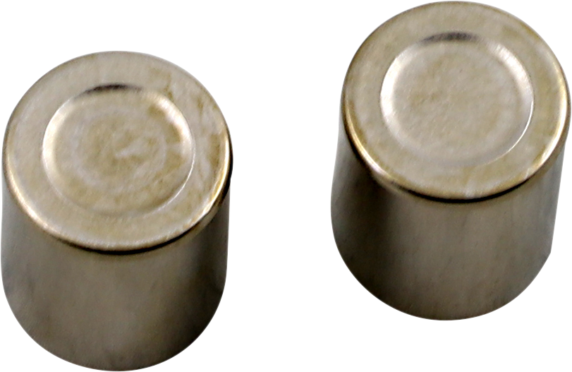 PARTS UNLIMITED Brake Caliper Piston Kit - Honda 09-501P