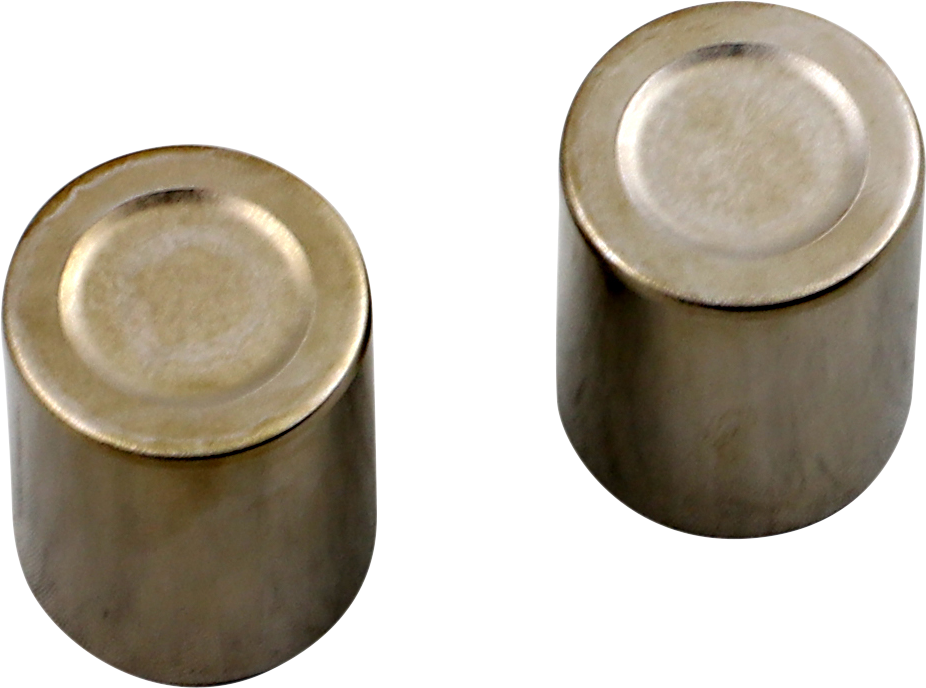 PARTS UNLIMITED Brake Caliper Piston Kit - Honda 09-521P
