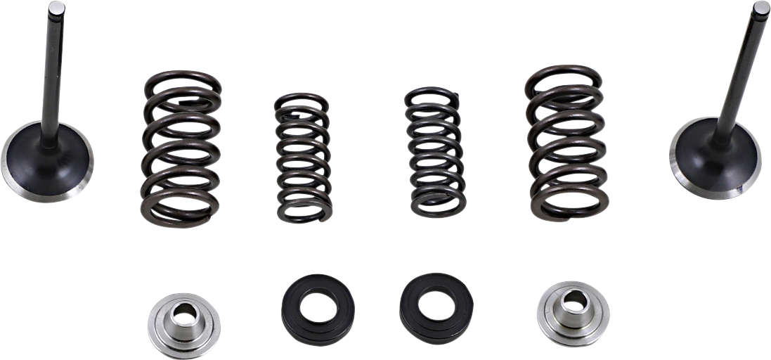 MOOSE OFFROAD Valve and Spring Kit - Honda CRF250L M30-33690