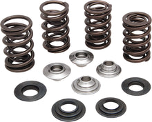 Spring Kit .600 Lift Hd Twin Cam