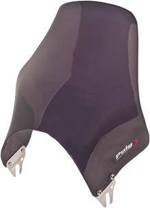 PUIG HI-TECH PARTS Naked Windshield - Dark Smoke 0869F