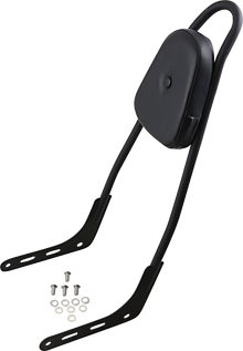 MOTHERWELL One-Piece Sissy Bar - Matte Black - Skull - With Pad 156T18-MB-SK-WP