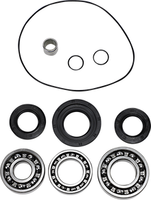 EPI Differential Bearing/Seal Kit - Rear WE290134