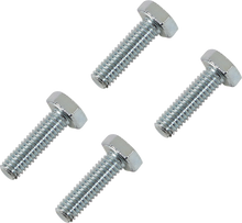 MOOSE OFFROAD Rotor Bolts - Front - Honda 039-6A07