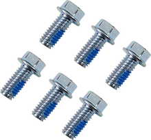 MOOSE OFFROAD Rotor Bolts - Front/Rear - Honda/KTM/TM 039-6A06