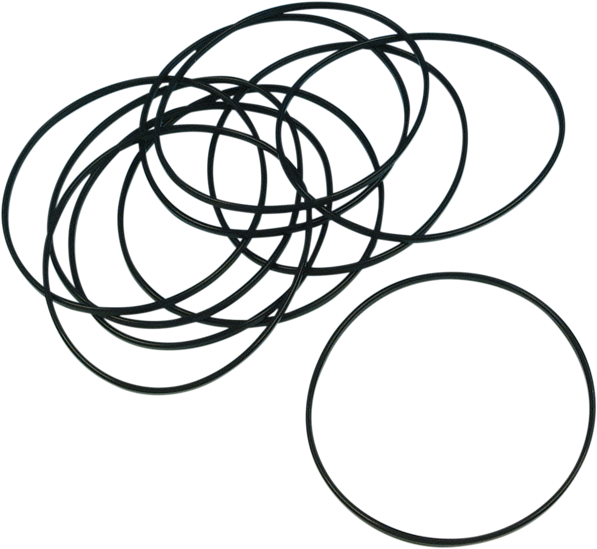 JAMES GASKET Derby Cover O-Ring - '94-'22 Sportster JGI-25463-94
