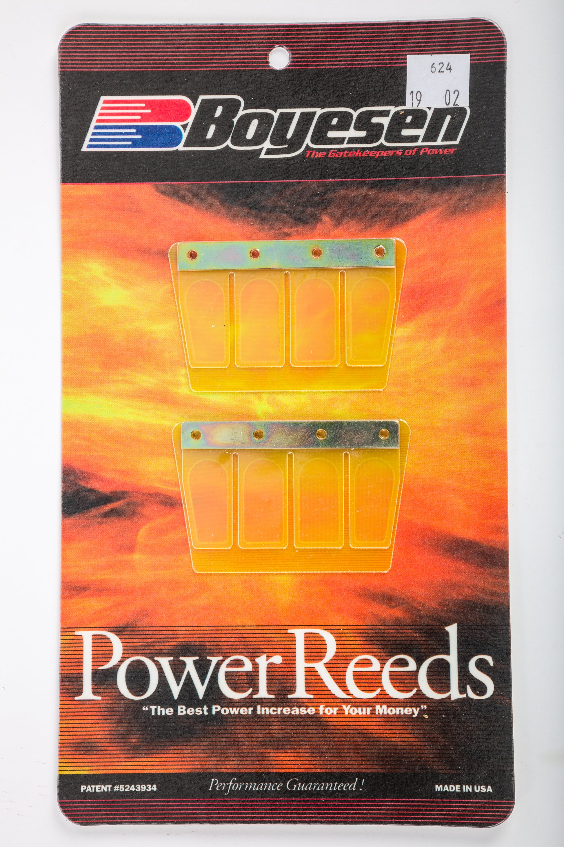 Motorcycle Reeds