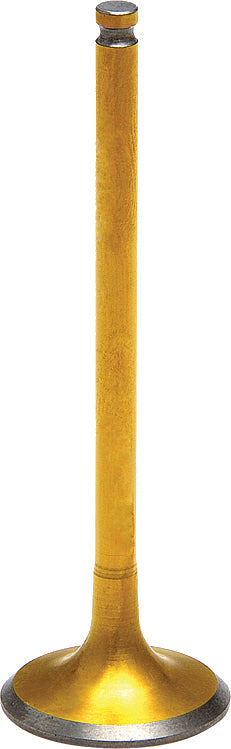 Tensilite Titanium Exhaust Valve