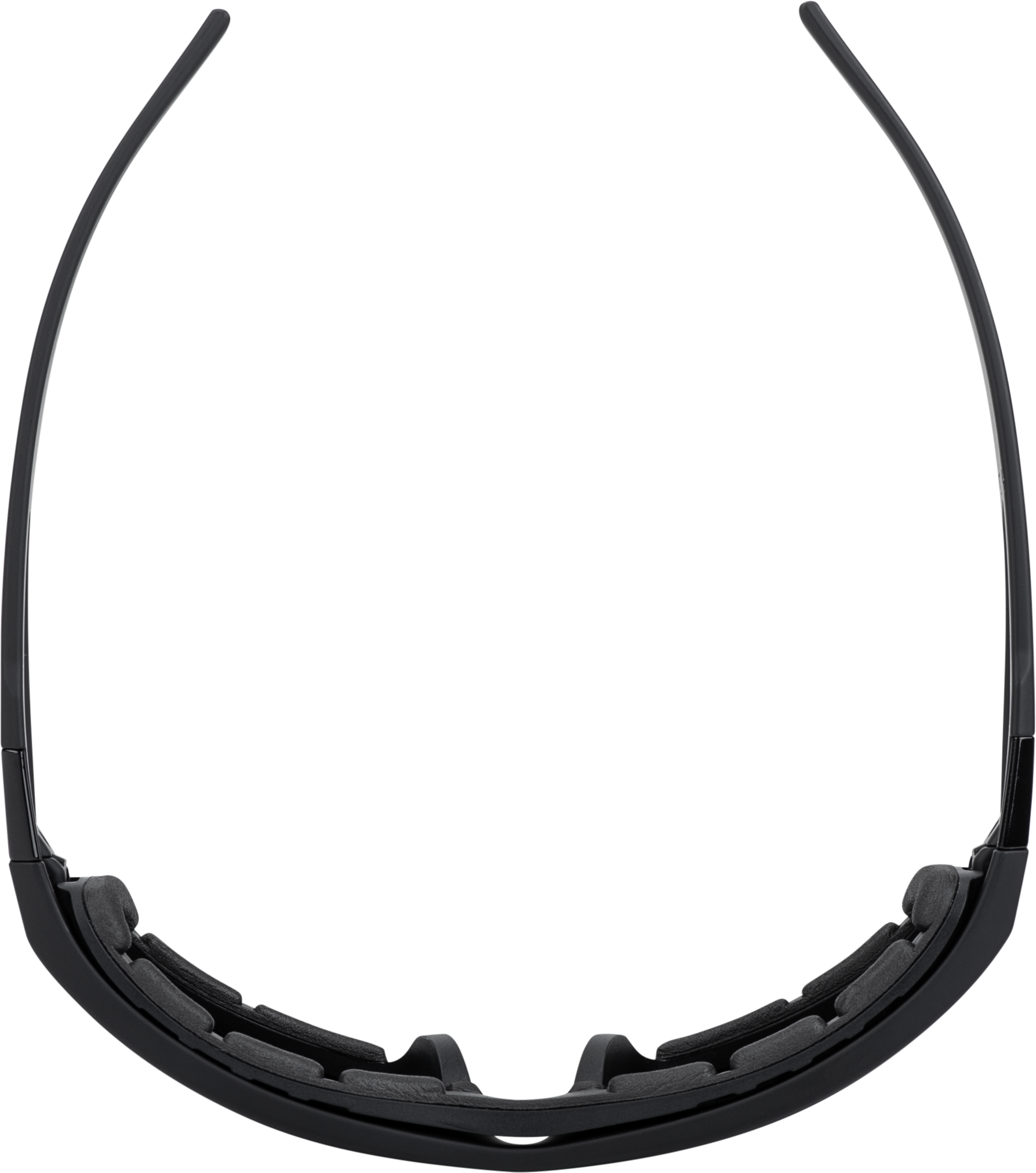 Flatside Hybrid Goggle Black