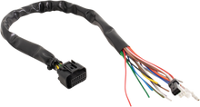 KOSO NORTH AMERICA RX-3 Harness - Monkey BZ001001