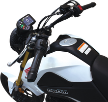 KOSO NORTH AMERICA RX-3 Harness - Grom BZ001000