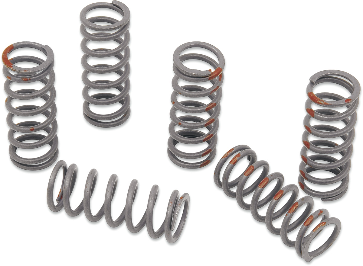KG POWERSPORTS Clutch Spring Set KGS-802