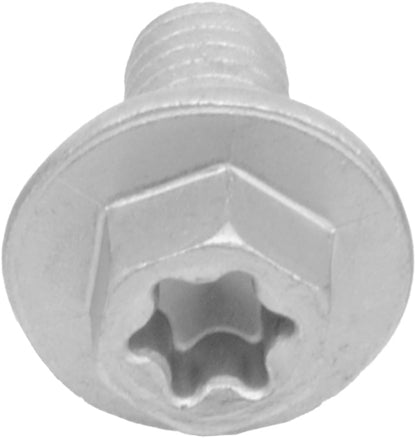 Euro Torx Large Flange Bolt 6x.1.0x12mm 10/Pk