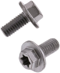 Euro Torx Large Flange Bolt 6x.1.0x12mm 10/Pk