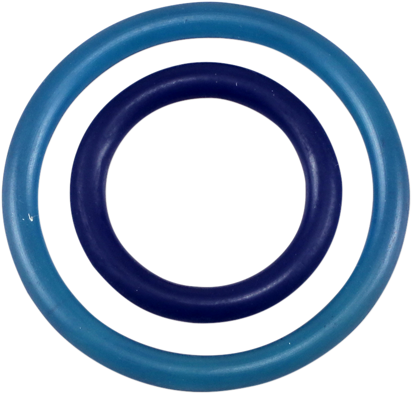PARTS UNLIMITED Works Performance Bladder O-Ring Kit TS-68-WBK-S