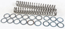 Fork Spring 0.85kg