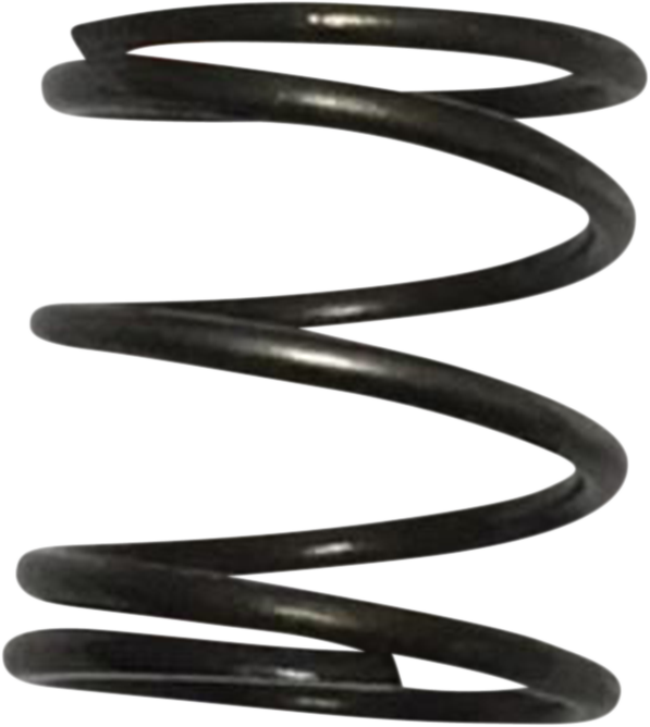 EASTERN MOTORCYCLE PARTS Pushrod Cover Spring - Big Twin | XL A-17947-36