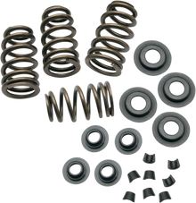 S&S CYCLE Valve Spring Kit - 0.650" - Sidewinder® - Twin Cam '99-'04 | XL '86-'03 900-0050