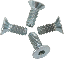 EXCEL Brake Carrier Bolt - Carrier Ring - Set CBK-B1