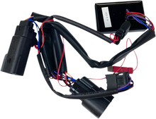 CUSTOM DYNAMICS Adapter - Dual Color Plasma Rods PR-MPRSEQ-BCM