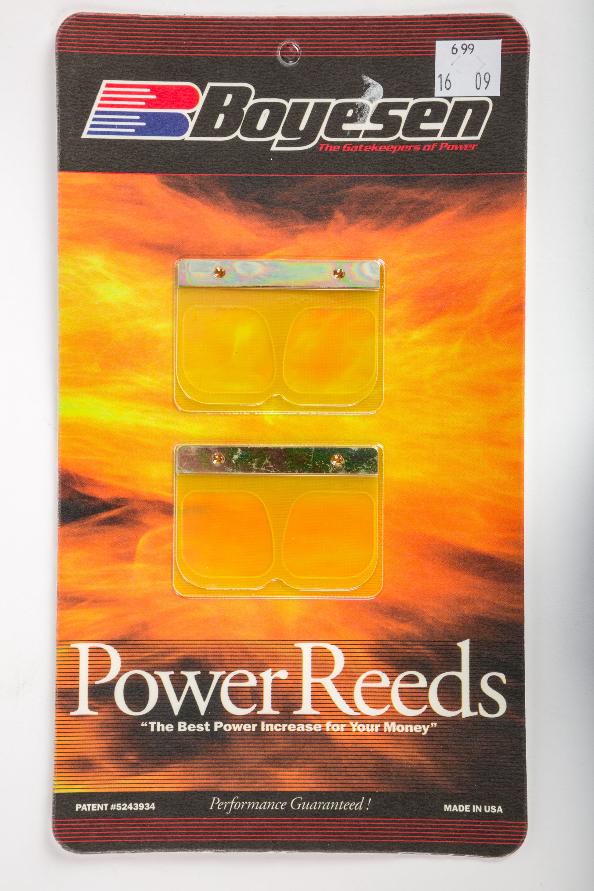 Motorcycle Reeds