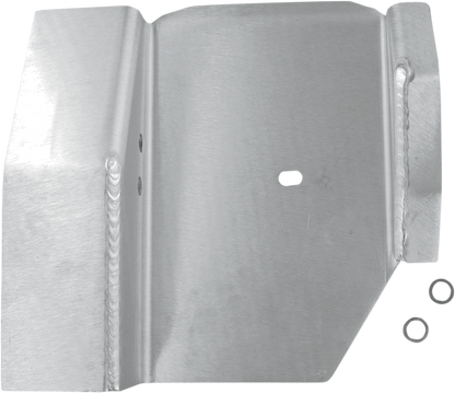 DG PERFORMANCE Swingarm Skid Plate - LT-R 450 QuadRacer 58-6045