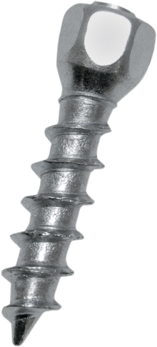WOODY'S Twist Tire Screws - 25 mm - 100 Pack WST-0625-100