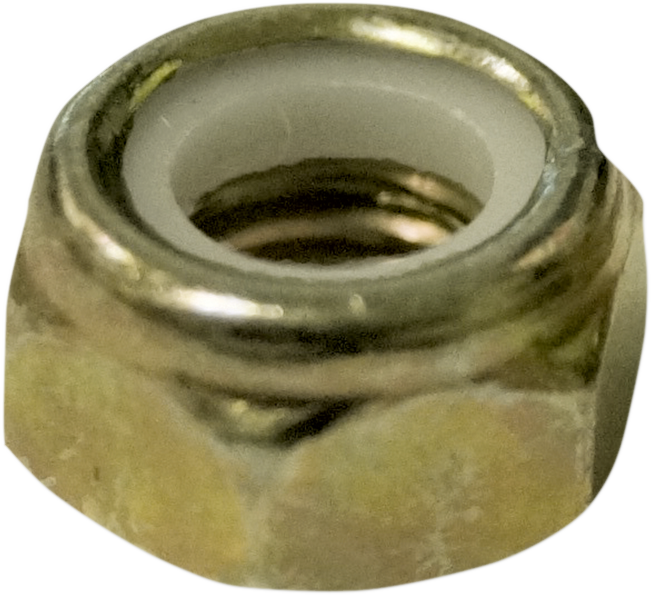 WOODY'S Lock Nuts - 5/16" - 48 Pack NYLC-5020