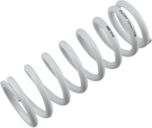 FACTORY CONNECTION Shock Spring - Rear - Spring Rate 250 lb/in NNE-0045