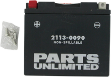 PARTS UNLIMITED AGM Battery - YT12B4/YT12B-BS CT12B4