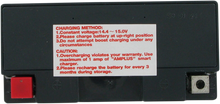 PARTS UNLIMITED AGM Battery - YT14B4 CT14B4
