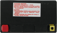 PARTS UNLIMITED AGM Battery - YTZ14S CTZ14S