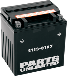 PARTS UNLIMITED AGM Battery - YIX30L-BS CTX30L-BS