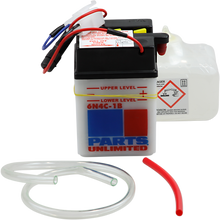 PARTS UNLIMITED Battery - 6N4C-1B 6N4C-1B-FP
