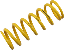 FACTORY CONNECTION Shock Spring - Rear - Spring Rate 263 lb/in ALL-0047