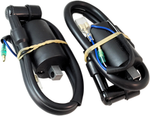 RICK'S MOTORSPORT ELECTRIC Ignition Coil - Honda 23-103