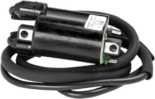 RICK'S MOTORSPORT ELECTRIC ignition Coil - Honda 23-105