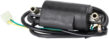RICK'S MOTORSPORT ELECTRIC ignition Coil - Honda 23-107